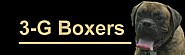 3-G Boxers